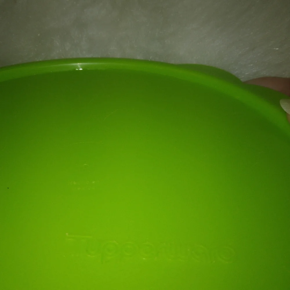 TUPPERWARE Red divided munch dish with green lid